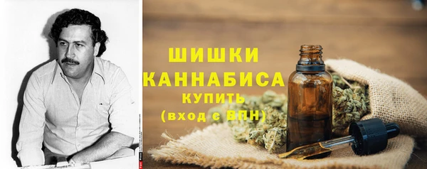 сатива Волосово