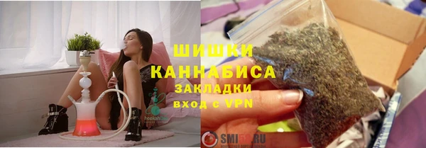 сатива Волосово