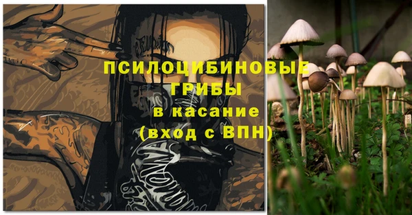 спиды Володарск