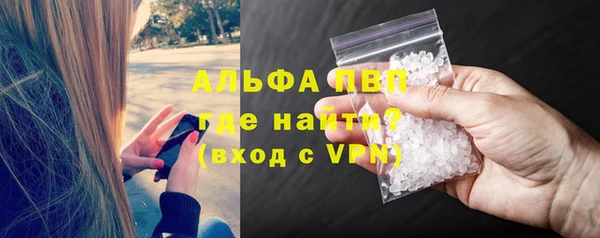 сатива Волосово